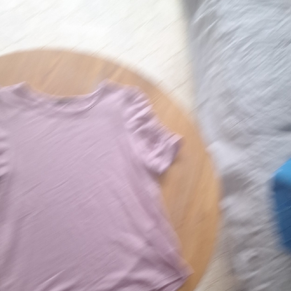 Staccato Light Purple Short Sleeve Top